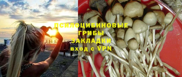 прущие грибы Алзамай